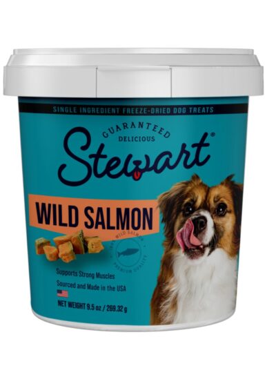 Stewart Single Ingredient Freeze Dried Dog Treats Salmon, 1ea/9.5oz.