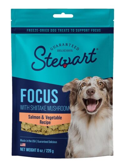 Stewart Freeze Dried Focus Dog Treats Pouch Salmon/Vegetables 8oz.
