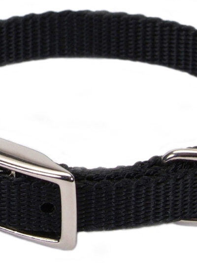 Coastal Single-Ply Nylon Collar Black 3/8X10In