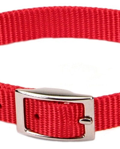 Coastal Single-Ply Nylon Collar Red 3/8X12In