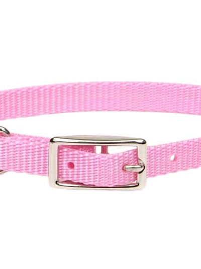 Coastal Single-Ply Nylon Collar Neon Pink 3/8X12In