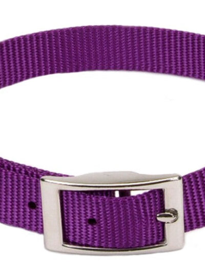Coastal Single-Ply Nylon Collar Purple 3/8X12In