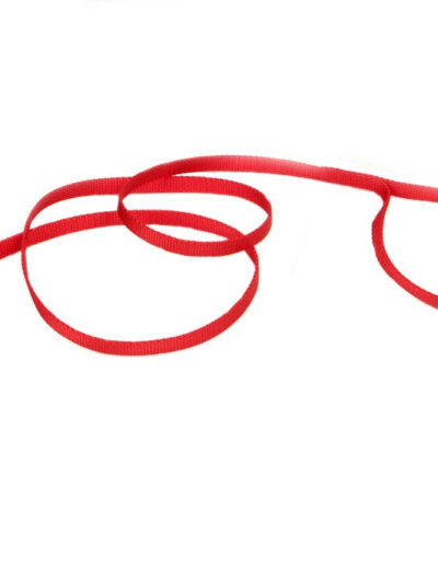 Coastal Single-Ply Nylon Dog Leash Red 1ea/3/8 In X 4 ft