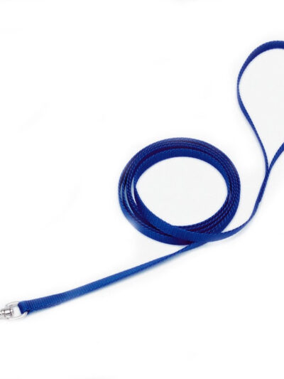 Coastal Single-Ply Nylon Dog Leash Blue 1ea/3/8 In X 4 ft