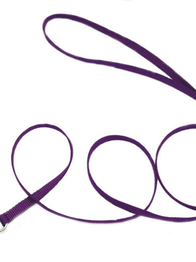 Coastal Single-Ply Nylon Dog Leash Purple 1ea/3/8 In X 4 ft
