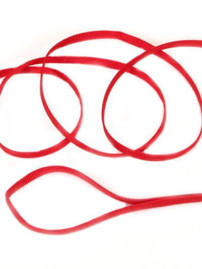 Coastal Single-Ply Nylon Dog Leash Red 1ea/3/8 In X 6 ft