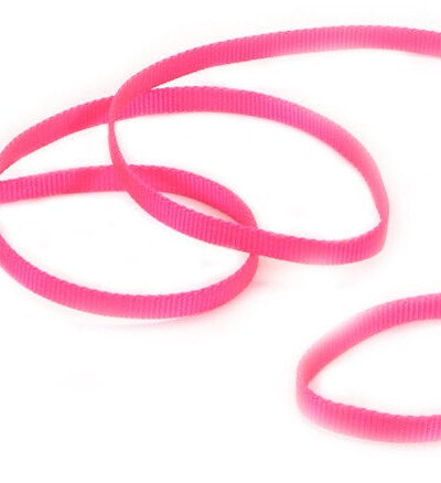 Coastal Single-Ply Nylon Dog Leash Neon Pink 1ea/3/8 In X 6 ft