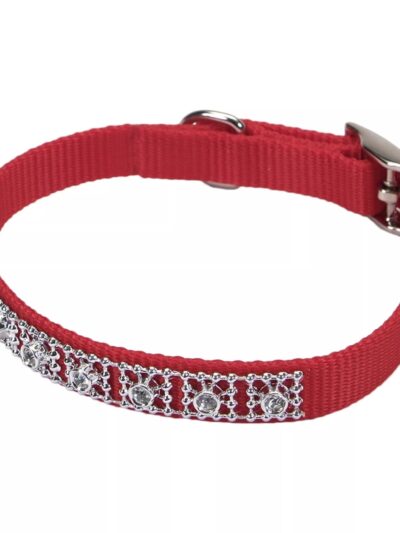 Coastal Nylon Jeweled Dog Collar Red 1ea/3/8 In X 12 in
