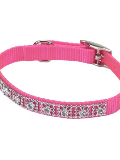Coastal Jeweled Dog Collar Neon Pink 1ea/3/8 In X 12 in