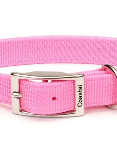 Coastal Double-Ply Nylon Dog Collar Pink Bright 1ea/1 In X 18 in