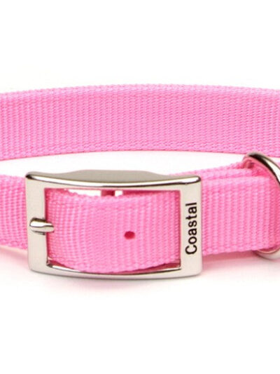Coastal Double-Ply Nylon Dog Collar Pink Bright 1ea/1 In X 20 in
