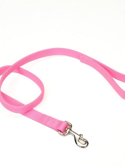Coastal Double-Ply Nylon Dog Leash Pink Bright 1ea/1 In X 6 ft