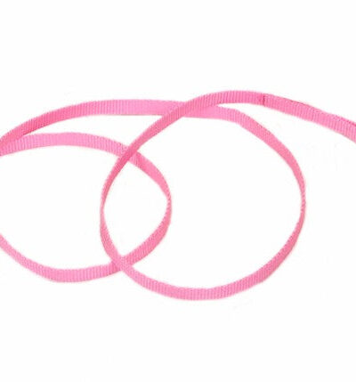 Coastal Single-Ply Nylon Dog Leash Pink Bright 1ea/3/8 In X 6 ft
