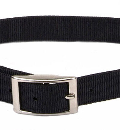 Coastal Single-Ply Nylon Dog Collar Black 1ea/5/8 In X 12 in