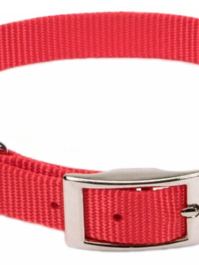 Coastal Single-Ply Nylon Dog Collar Red 1ea/5/8 In X 12 in