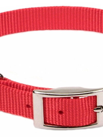 Coastal Single-Ply Nylon Dog Collar Red 1ea/5/8 In X 14 in
