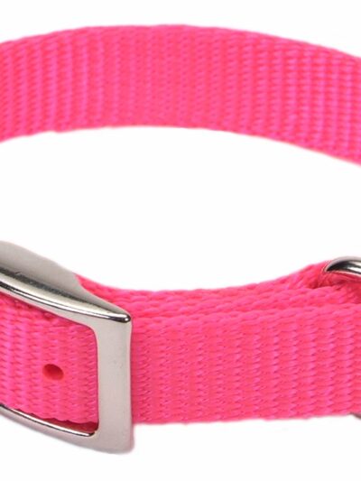 Coastal Single-Ply Nylon Dog Collar Neon Pink 1ea/5/8 In X 14 in