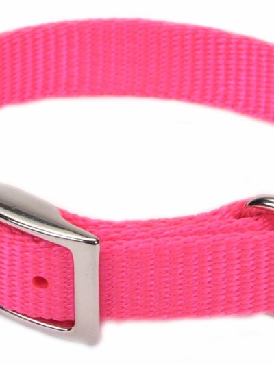 Coastal Single-Ply Nylon Collar Neon Pink 5/8X16In