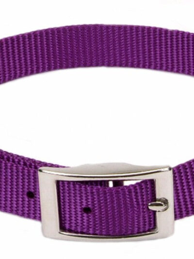 Coastal Single-Ply Nylon Dog Collar Purple 1ea/5/8 In X 16 in