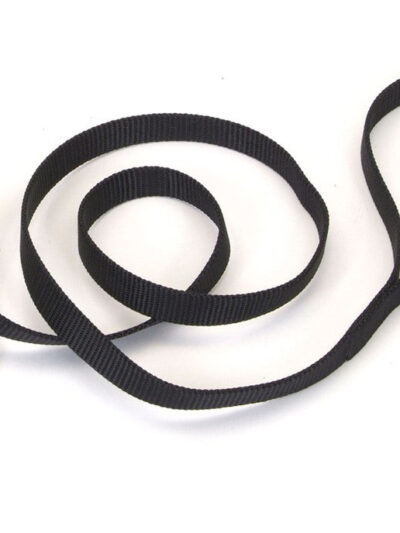 Coastal Single-Ply Nylon Dog Leash Black 1ea/5/8 In X 4 ft