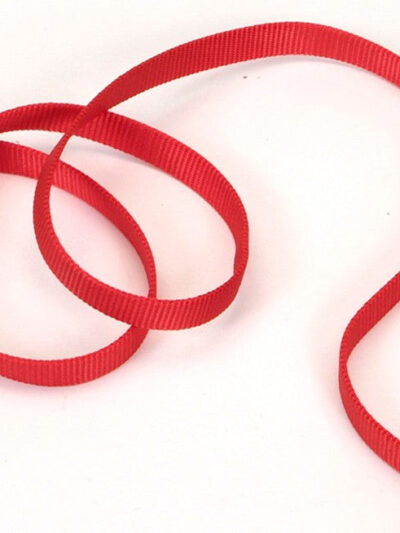 Coastal Single-Ply Nylon Dog Leash Red 1ea/5/8 In X 4 ft