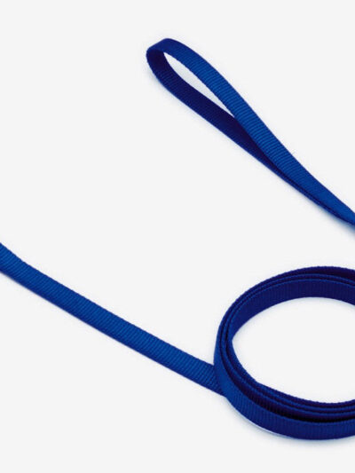 Coastal Single-Ply Nylon Dog Leash Blue 1ea/5/8 In X 4 ft