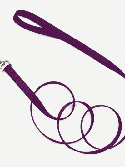 Coastal Single-Ply Nylon Dog Leash Purple 1ea/5/8 In X 4 ft