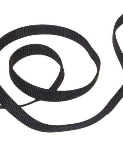 Coastal Single-Ply Nylon Dog Leash Black 1ea/5/8 In X 6 ft