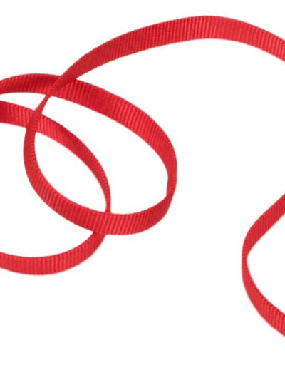 Coastal Single-Ply Nylon Dog Leash Red 1ea/5/8 In X 6 ft