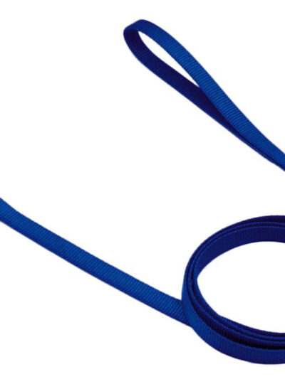 Coastal Single-Ply Nylon Dog Leash Blue 1ea/5/8 In X 6 ft