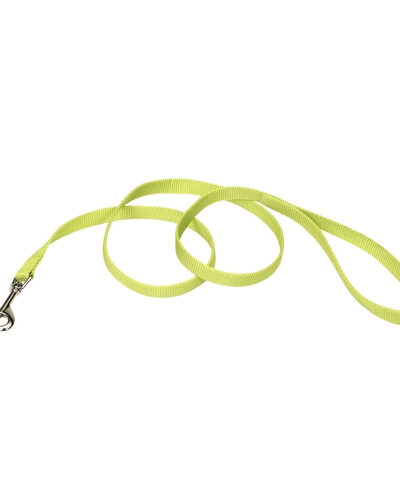 Coastal Single-Ply Nylon Leash Lime 5/8X6Ft