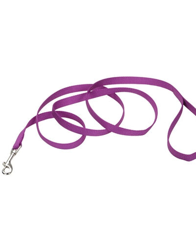 Coastal Single-Ply Nylon Leash Orchid 5/8X6Ft