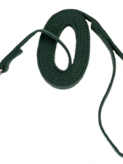 Coastal Train Right! Cotton Web Training Leash Green 5/8X6Ft