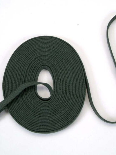Train Right Cotton Web Training Dog Leash Green 1ea/5/8 In X 15 ft