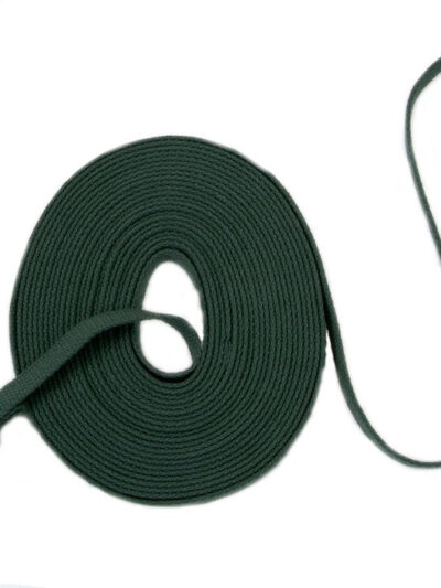 Train Right Cotton Web Training Dog Leash Green 1ea/5/8 In X 30 ft