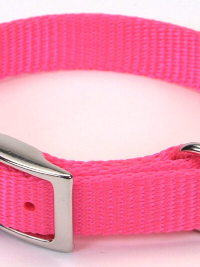 Coastal Single-Ply Nylon Collar Neon Pink 3/4X16In
