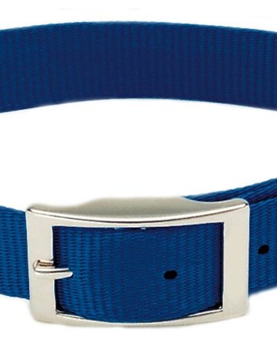 Coastal Single-Ply Nylon Dog Collar Blue 1ea/3/4 In X 18 in