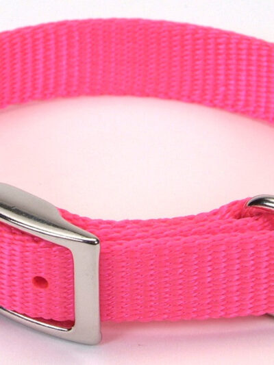 Coastal Single-Ply Nylon Collar Neon Pink 3/4X18In
