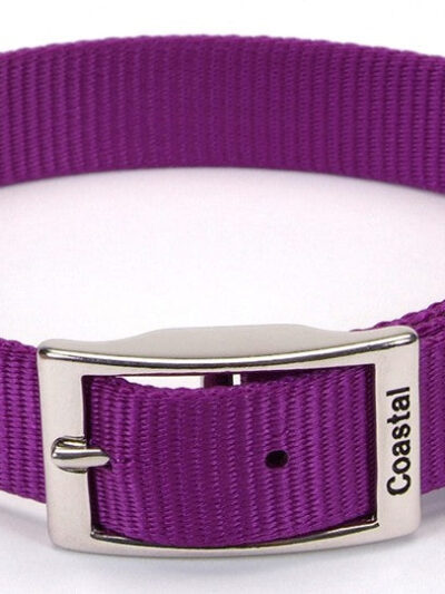 Coastal Single-Ply Nylon Dog Collar Purple 1ea/3/4 In X 18 in