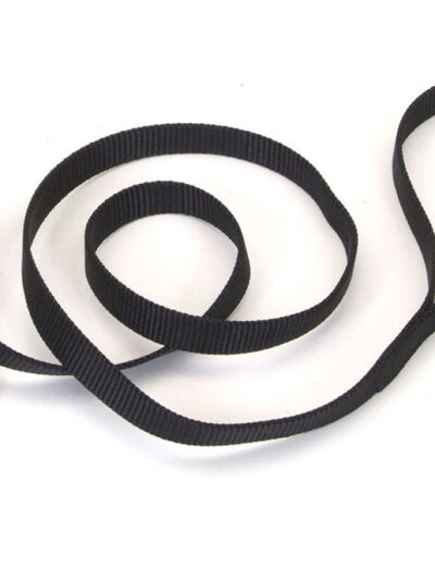 Coastal Single-Ply Nylon Dog Leash Black 1ea/3/4 In X 4 ft