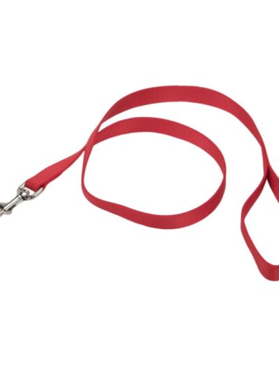 Coastal Single-Ply Nylon Dog Leash Red 1ea/3/4 In X 4 ft