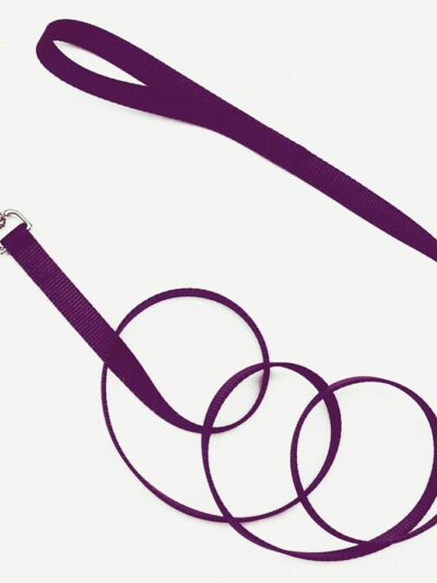 Coastal Single-Ply Nylon Dog Leash Purple 1ea/3/4 In X 4 ft