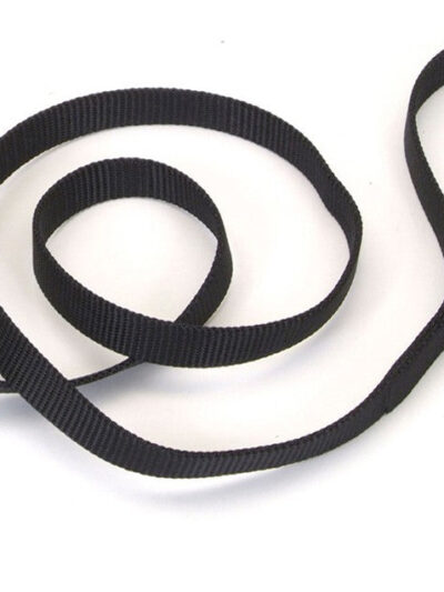 Coastal Single-Ply Nylon Dog Leash Black 1ea/3/4 In X 6 ft