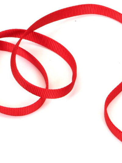 Coastal Single-Ply Nylon Dog Leash Red 1ea/3/4 In X 6 ft