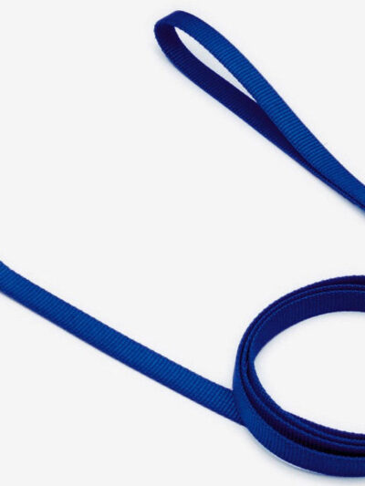 Coastal Single-Ply Nylon Dog Leash Blue 1ea/3/4 In X 6 ft