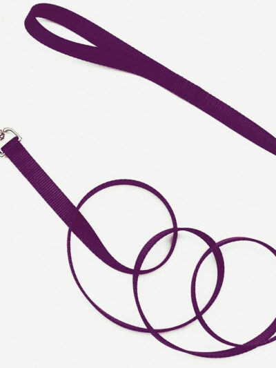 Coastal Single-Ply Nylon Dog Leash Purple 1ea/3/4 In X 6 ft