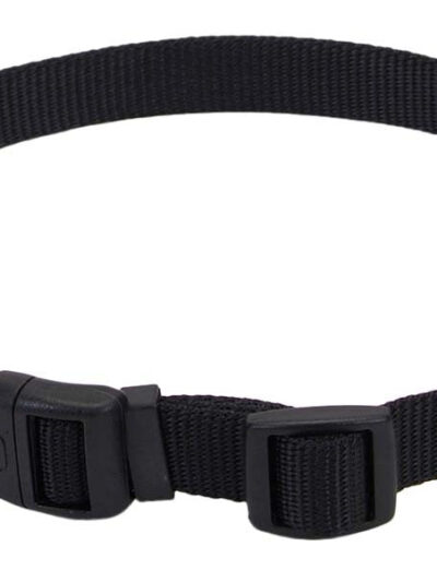 Coastal Adjustable Nylon Dog Collar with Plastic Buckle Black 1ea/5/8 In X 10-14 in
