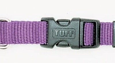 Coastal Adjustable Nylon Dog Collar with Plastic Buckle Purple 1ea/5/8 In X 10-14 in