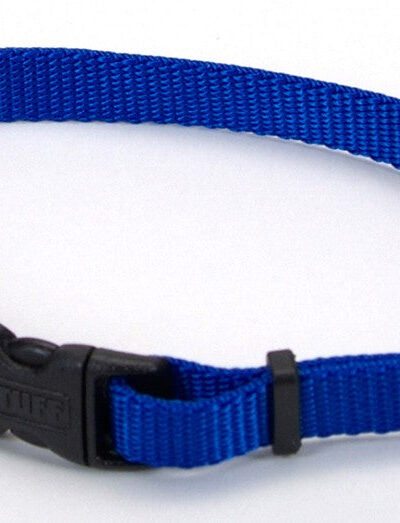 Coastal Adjustable Nylon Dog Collar with Plastic Buckle Blue 1ea/3/8 In X 8-12 in