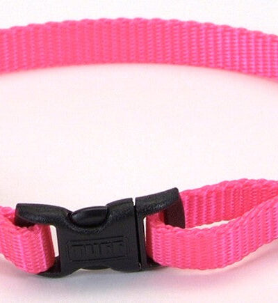 Coastal Adjustable Nylon Dog Collar with Plastic Buckle Neon Pink 1ea/3/8 In X 8-12 in
